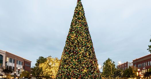 Market Street Annual Tree Lighting is set for November 16, 2023