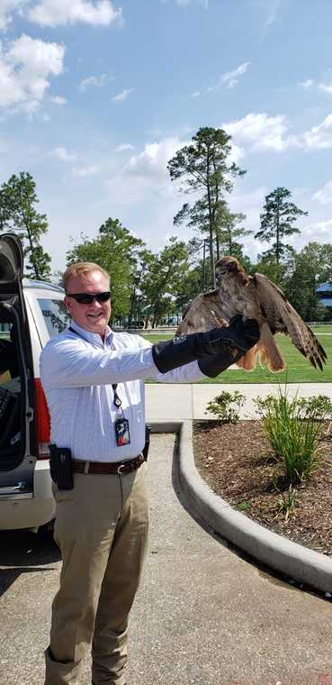 Montgomery County Sheriff Rand Henderson Releases Hawk