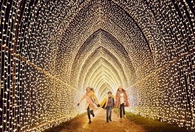 Houston Botanic Garden Set to Dazzle This Holiday Season With Internationally Acclaimed Lightscape