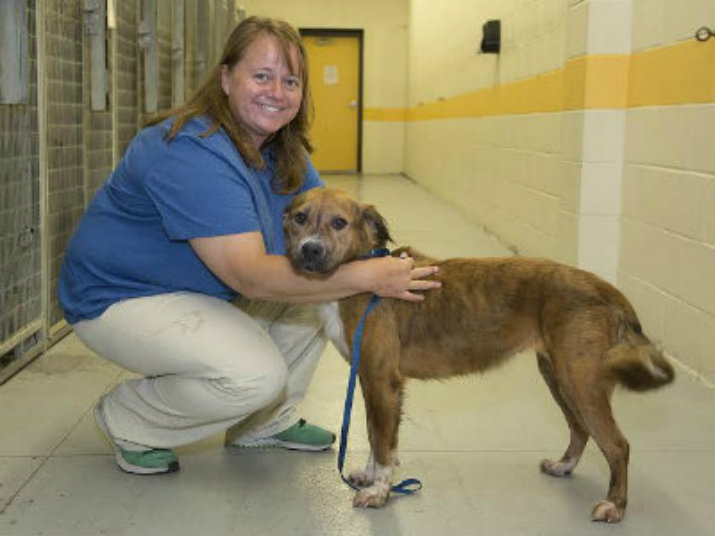 Volunteer coordinator named at Montgomery County Animal Shelter