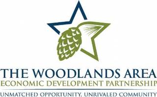 The Woodlands Area Economic Development Partnership Hosts Cybersecurity Panel