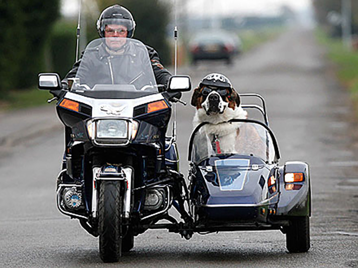 Operation Pets Alive revs up for Motorcycle Rescue Ride