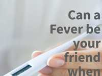 Can a Fever be your friend when sick?