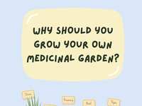 Is Gardening Medicine?