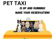New! Full-time groomer and pet taxi service!