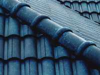 The Role of Gutters in Roof Health: Maintenance and Repair Tips