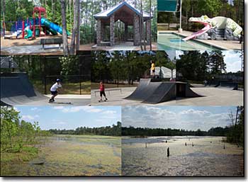 Woodlands Texas Lakeside Park