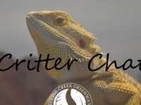 Critter Chat