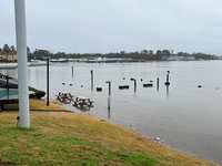 Lake Conroe Closed: Level Continues to Rise - UPDATE