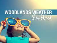 Woodlands Weather This Week – March 25 - 29, 2024 – Pre-Easter temperance