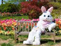 Easter weekend events in The Woodlands