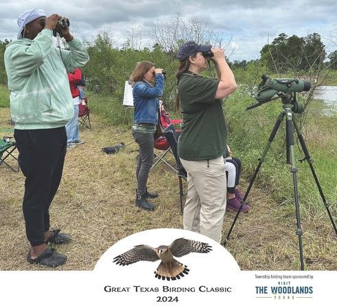 Join the 2024 Great Texas Birding Classic for an extraordinary birdwatching adventure
