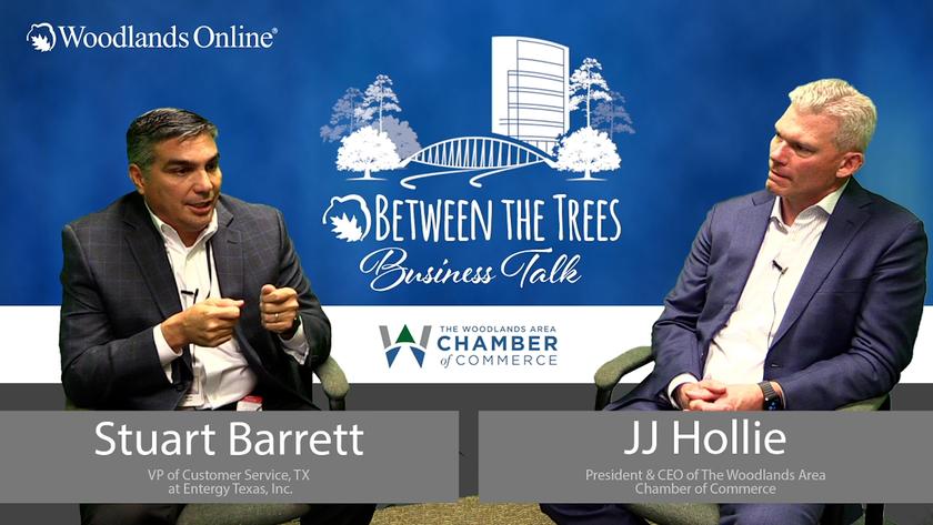 Between The Trees Business Talk - 044 - Stuart Barrett