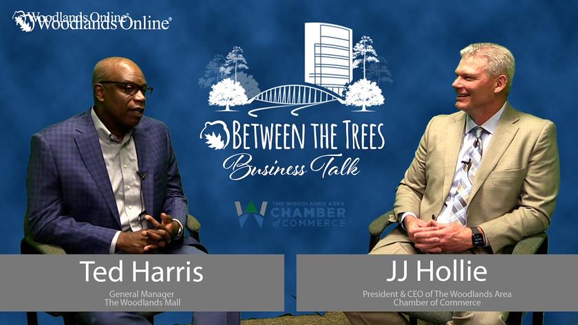Between The Trees Business Talk - 045 - Ted Harris
