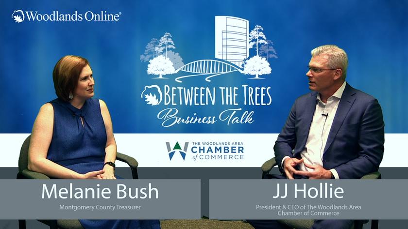 Between The Trees Business Talk - 050 - Melanie Bush