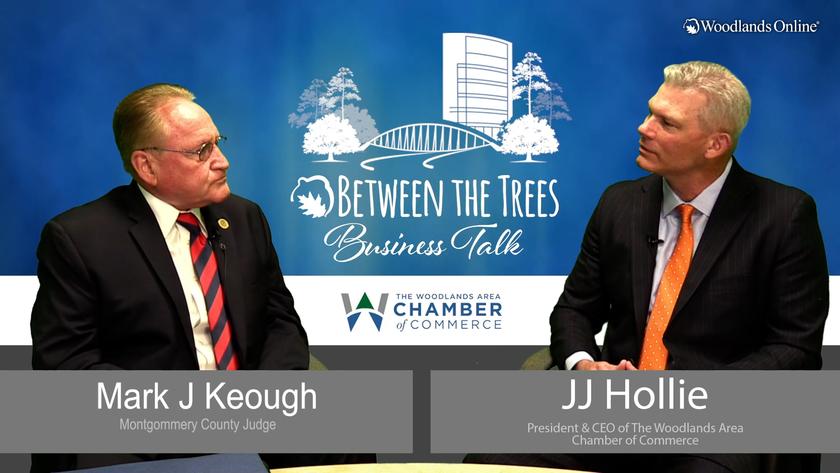 Between The Trees Business Talk - 077 - Mark J. Keough