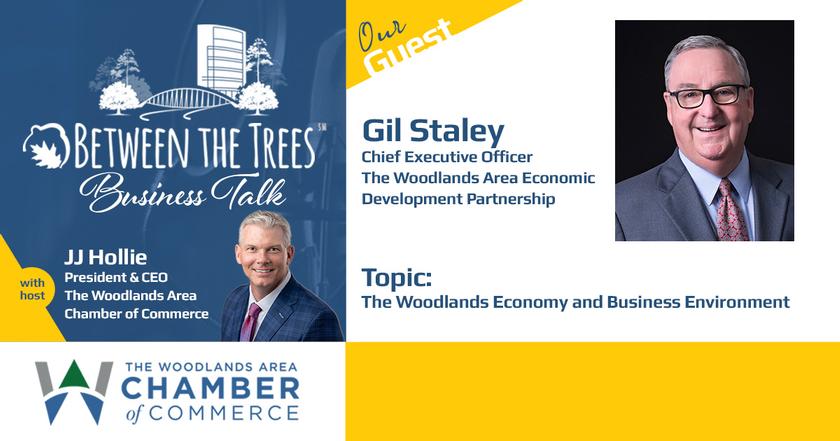 Between The Trees Business Talk - 106 - Gil Staley