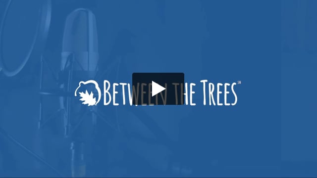 Between The Trees Business Talk - 113 - Suzanne Grove