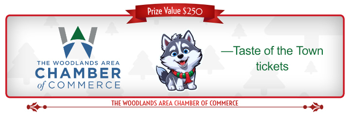 THE WOODLANDS AREA CHAMBER OF COMMERCE