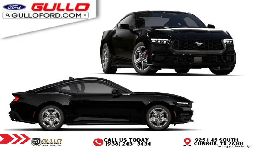/images/ag/149690/autoGuide149690.jpg