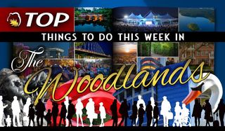 Top Things to Do This Week in The Woodlands – November 4 - 10, 2024