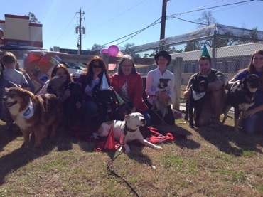 OPA helps Lily, Pit Bull Ambassador celebrate her birthday by giving dogs a second chance