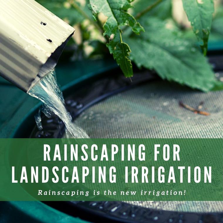 The Woodlands Township Offers Online Class for Rainscaping and Landscape Irrigation