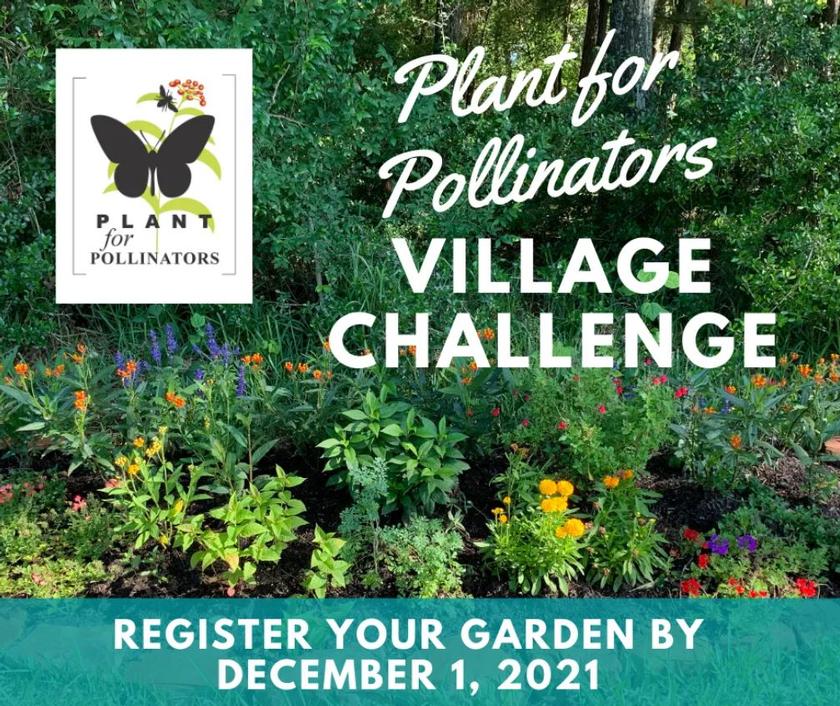 Plant for Pollinators Village Challenge encourages supporting native pollinators