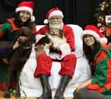 Cooper hosting 'Santa Paws' pet photos on Dec. 3