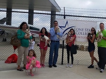 Flight LSC - Montgomery carries over 40 dogs to new homes