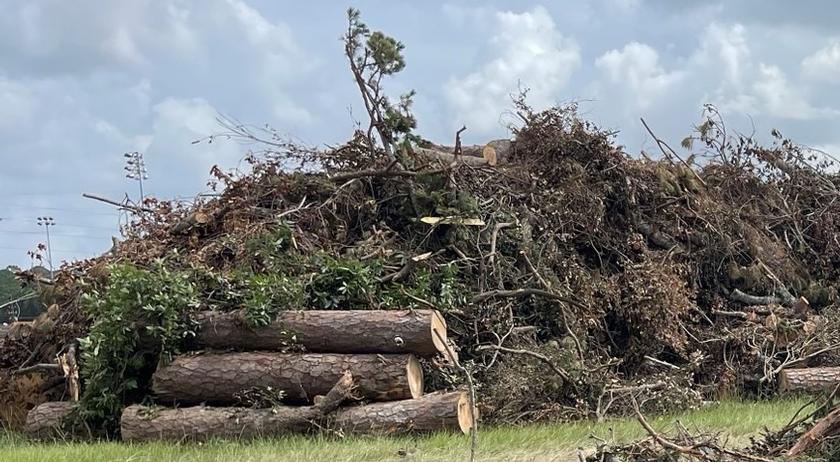 July 9 deadline for residents to place large storm debris in ROW for pickup