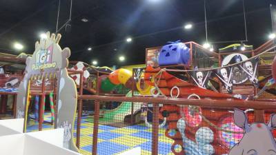 Indoor playground raises awareness, funds for endangered species