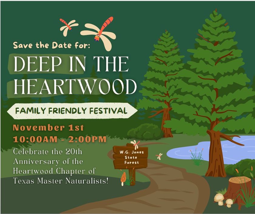 Deep in the Heartwood Festival Provides Family-Friendly Celebration of Nature