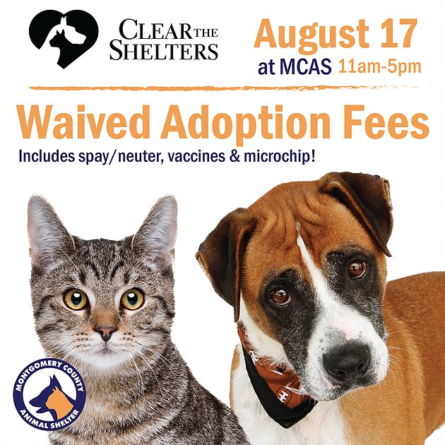 Montgomery County Animal Shelter Waives Adoption Fees During 'Clear the Shelter' Event