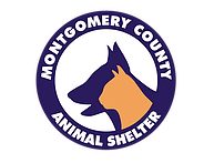 Montgomery County Animal Shelter Advises Staff and Public on COVID-19 Safety Measures