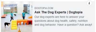 Dogtopia Employs Experts to Help Pet Parents