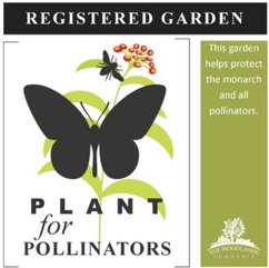 The Woodlands Township Village Challenge Focuses Efforts on Planting for Pollinators