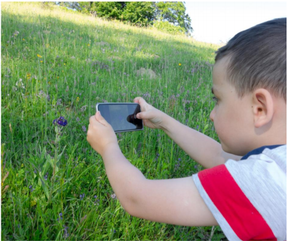 The Woodlands Township to host second annual Pollinator BioBlitz