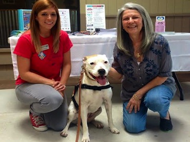 Lily, Pit Bull Ambassador & Therapy Dog, teaches dog bite prevention