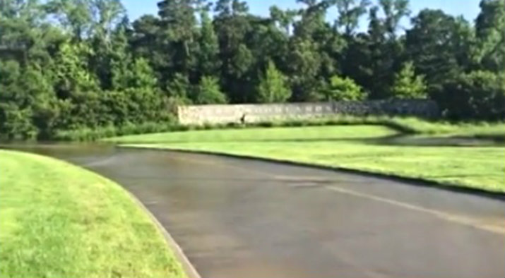 The Woodlands Texas Flooding >> The Woodlands Township responds to community flooding ... The Woodlands Texas Flooding >> The Woodlands Township responds to community flooding ...