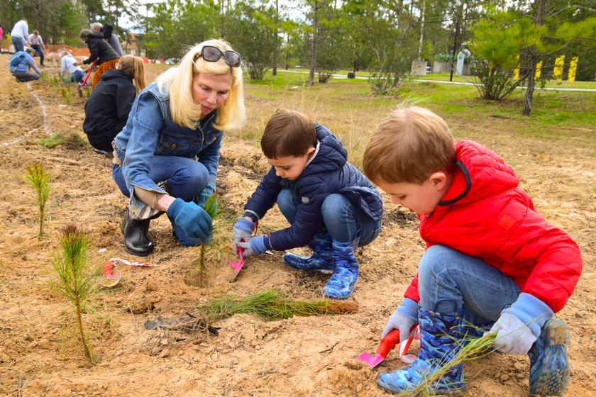 The Woodlands Township Helps Keep the Woods in The Woodlands