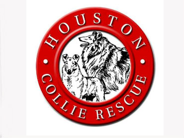Update: 19 More collies seized at same residence in Tomball bringing total to 139