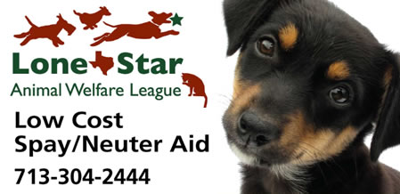 Lone Star Animal Welfare League hopes to increase awareness of spaying and neutering
