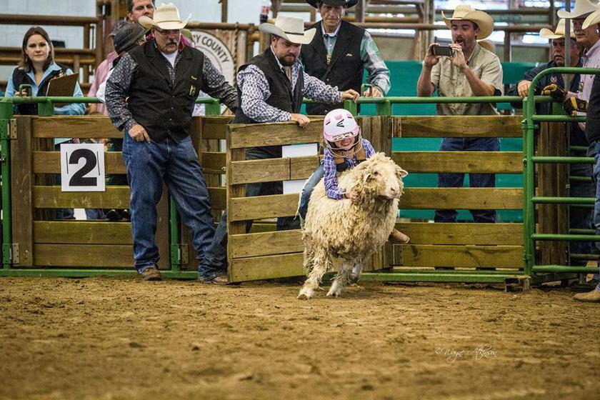 Not the first – but certainly the best – rodeo: The Montgomery County Fair and Rodeo kicks off March 23
