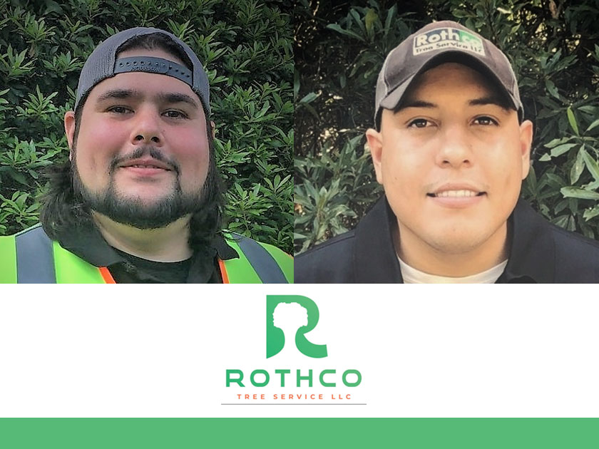 Rothco Tree Service - Taking Care of the Trees of The Woodlands for the Past 12 Years