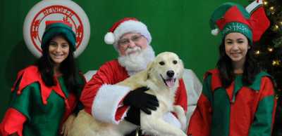 SantaPaws pet photos at John Cooper School December 8