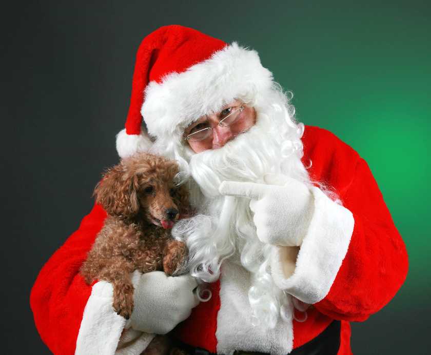 Get your pets' photos with Santa at Woodlands Eco Realty on Dec 8