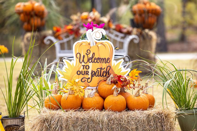 Harvest in The Hills Set for The Woodlands Hills