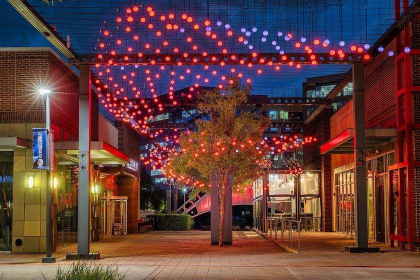 New Multimedia Art in The Woodlands