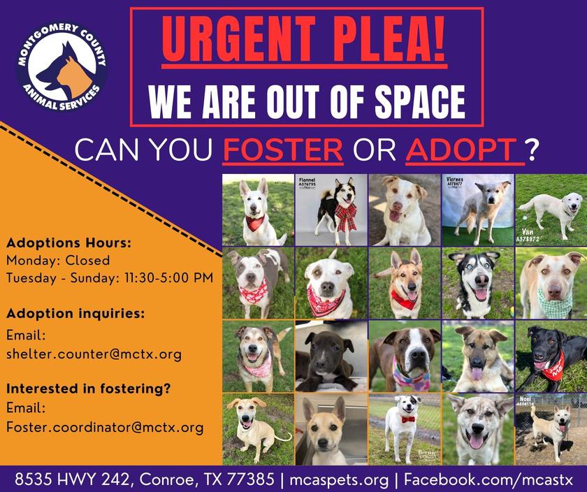 Montgomery County Animal Shelter is completely out of space!